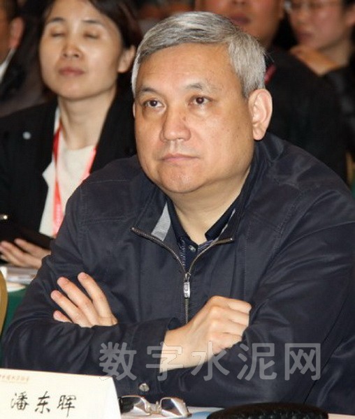 中国建材联合会科技部主任潘东晖